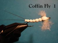 Coffin Fly 1 - Copy.jpg