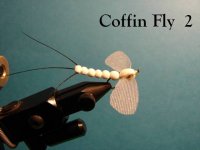 Coffin Fly 2 - Copy.jpg
