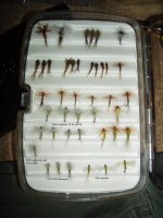 Fly selection.jpg