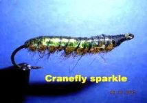 cranfly sparkle.JPG