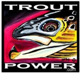 trout-power-pop-art- small.jpg