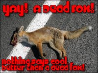 dead fox.jpg