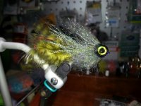 Sculpin with no name.jpg