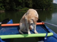 dog and boat.png