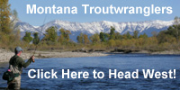 Montana Trout Anglers