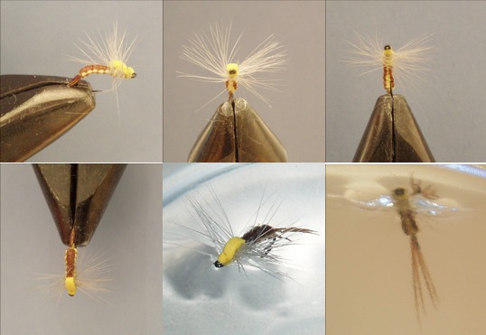 Sulphur Emerger