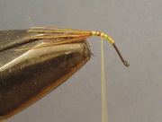 Sulphur Emerger