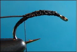 caddis fly