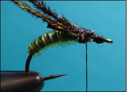 caddis
