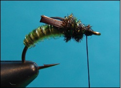 caddis