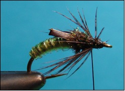 caddis