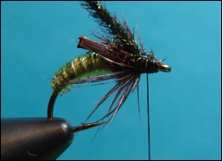 caddis