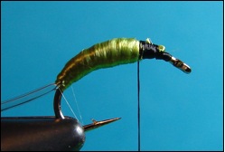 caddis