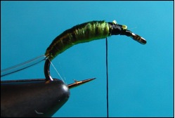 caddis
