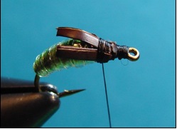 caddis