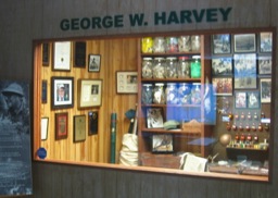Resized Image