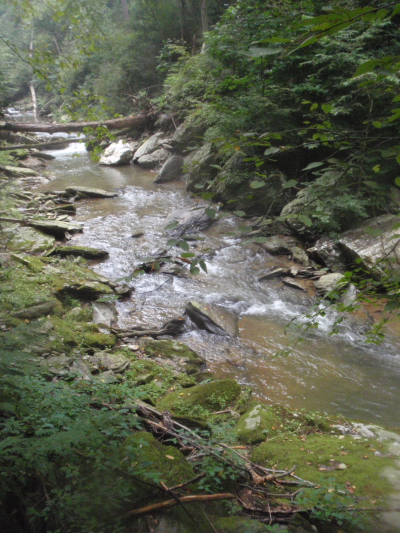 Nice Southern PA Stream Nice Southern PA Stream