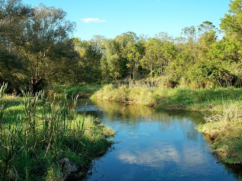 Brown Trout Heaven Brown Trout Heaven