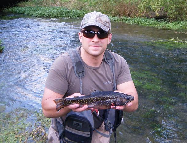 Wild Brook Trout!!! Wild Brook Trout!!!