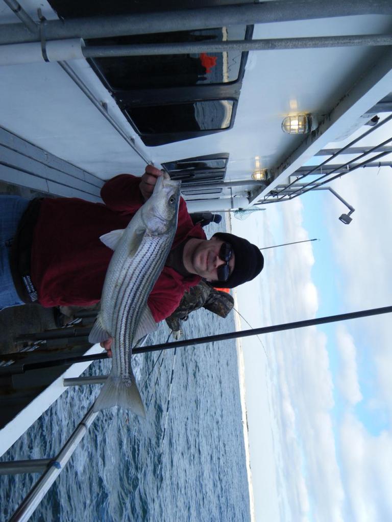 NJ Striper NJ Striper