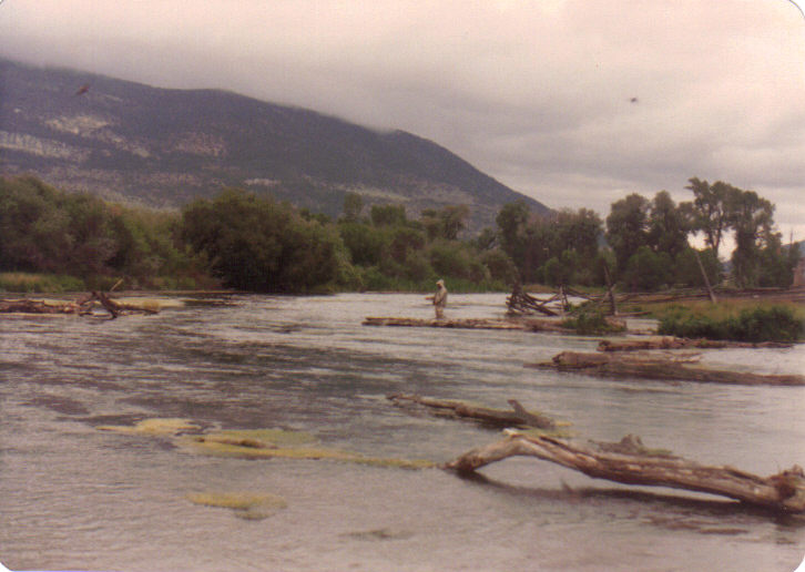 Creeks Creeks