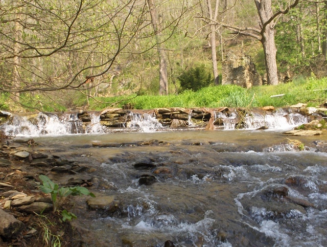 another sepa wild brown trout stream2 another sepa wild brown trout stream2