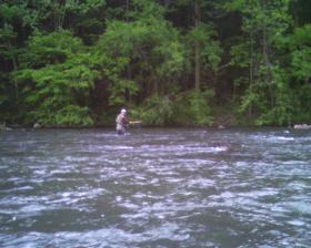 David on the Little J