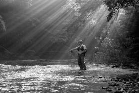 Dances with Mayflies