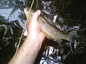 Clarks 6/9/09