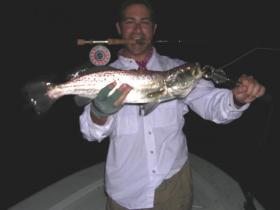Sea Trout - Florida