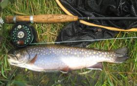 Big Spring Brookie