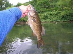 Youghiogheny Smallmouth 07/18/2009