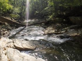 WILD YORK COUNTY