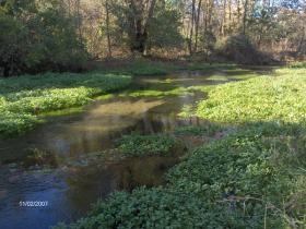 GENTLE SWAYING CURRENTS