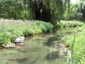 Geisel Meadow on Falling Spring