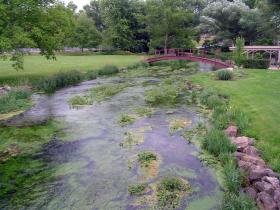 Arch bridge at Springview Drive