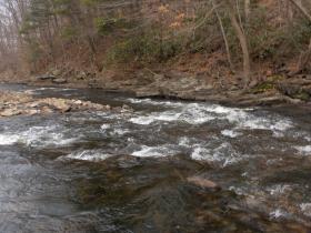 Roaring Brook