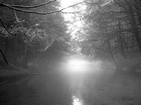Clark's Creek