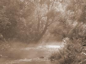 Tranquility