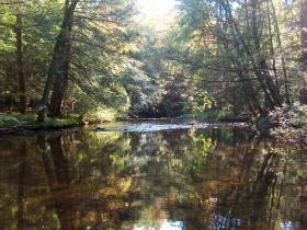 Fishing Stony Creek
