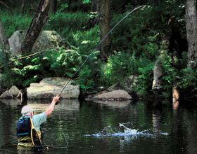Strike on Tobyhanna Creek