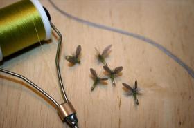BWO Still Life