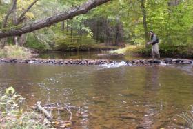 Matt Fishing Manada