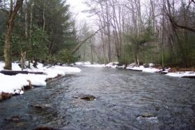 White Deer Creek