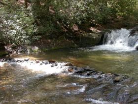 Wildcat Creek North Georgia
