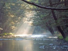 Clarks Creek