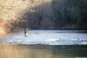 GoodFortune on Spring Creek 18Jan2010