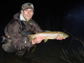 Central Pa Granddaddy Brown Trout