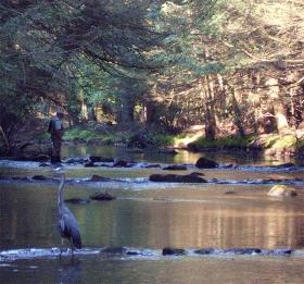 Two Great Fishermen