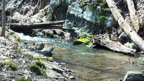 Class A Berks pool